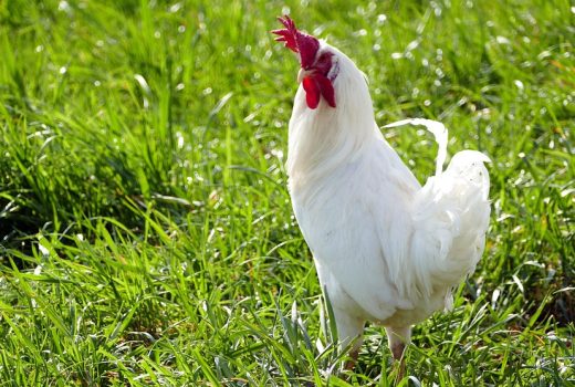 The Future of Sports Marketing: Why E-Sports Sponsorship Is a Key Part of the Mix