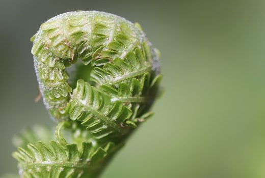 Collaboration Nation: How to Partner with Other Streamers for Success