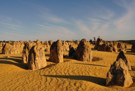 Growth and Monetization